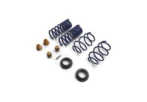 Ford Mustang Lowering Springs - Ford Racing - Street Lowering - `15-`24 Ford Mustang Lowering Springs - Ford Racing - Street Lowering - `15-`24